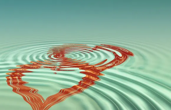 Casigo Cazinou Suport